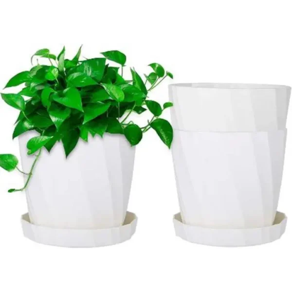 4 inch 6 Pcs white flower tub with tray - Camellia Planter tob - Image 2